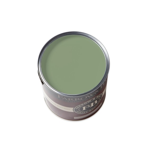 Farrow & Ball Paint 750ml Flat Eggshell Folly Green No.76